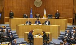 Rum Meclisi’nde AB-Mercosur tartışması: Tarım Bakanı avantajları sunarken, çiftçiler karşı çıktı