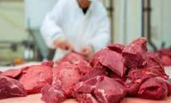 RES-BİR karkas et ithalatına izin verilmemesi halinde eyleme gideceği uyarısında bulundu