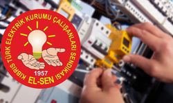 El-Sen: KIB-TEK’te uygulamalar çalışan güvenliğini ve kamu hizmetini tehdit ediyor