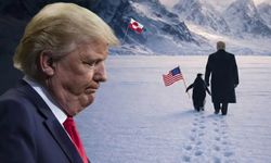 Beyaz Saray'ın 'Grönland'da penguen' paylaşımı alay konusu oldu