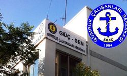 Güç-Sen, Dünya Gümrük Günü'nü kutladı