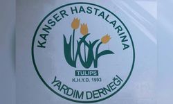 Kanser Hastalarına Yardım Derneği'nden velilere HPV aşısı çağrısı: Onam formlarını imzalayın