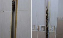 Öğrencilere kiraya verdiği eve giren kadın, gördüğü manzara karşısında sinir krizi geçirdi