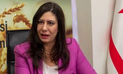 Sıla Usar İncirli: Hükümetin ülkedeki sorunları çözme kapasitesi kalmadı, erken seçim şart