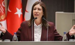 Sıla Usar İncirli: Bu skandalların siyasi sorumlusu Ünal Üstel’dir