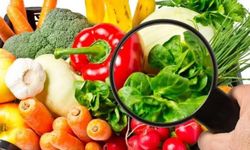 Haftalık gıda denetimi: Yerli çilek ve salatalıkta limit üstü pestisit tespit edildi