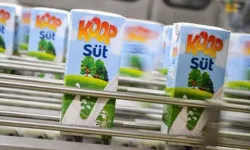 Koop-Süt’ten Yeni Zam: 1 Litre Süt 60 TL’ye Yükseldi