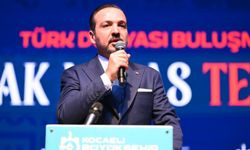 AK Parti Genel Başkan Yardımcısı Zorlu: Türk dünyasının kaderi ortaktır