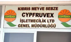 Cypfruvex, narenciye alım fiyatlarını açıkladı: Başvurular pazartesi başlıyor