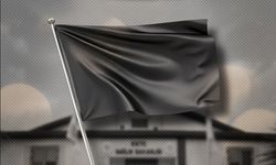 Hekim örgütleri Hükümeti istifaya, hekimleri hastanelere siyah bayrak asmaya çağırdı