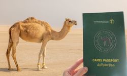 Suudi Arabistan develere kimlik verecek