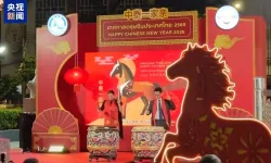 Çin, Ay Yeni Yılı'nı kutladı