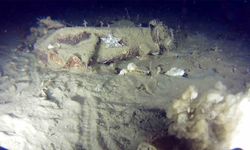 51 yıl önce düşen THY uçağına ait izlere ulaşıldı