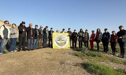 Kontrolsüz ilaç uygulamalarına ortak bildiri: Çözüm kimyasal değil, mekanik mücadele