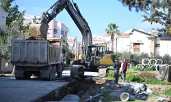 Amcaoğlu: "Çalışmalar aralıksız devam ediyor"