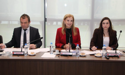 Ekonomi, Maliye, Bütçe ve Plan Komitesi dört yasa tasarısını ele aldı