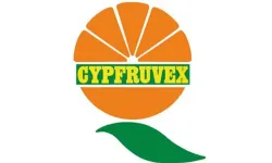 Cypfruvex’ten Valensiya portakalı fiyatları açıklaması