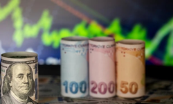 Dolar 43,95, Euro 52 TL’den İşlem Görüyor