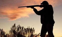 Biyologlar Derneği’nden “cikla avı” tepkisi: Kapalı sezonda av yapılamaz