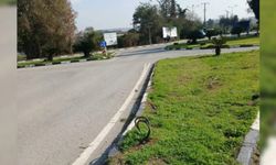 Lefke Çevre ve Ekoloji Derneği: Kazada düşen direk aylardır yerine konmuyor