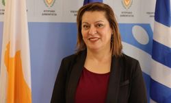 Rum Eğitim Bakanı: Avrupa Parlamentosu'nun Karpaz'daki "ihlallere" dikkat çekmesi çok önemli