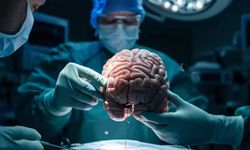 Skandal sanılandan daha büyük! Epstein dosyasında ortaya çıkan detay bir ülkeyi alarma geçirdi