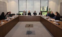 Meclis komitesinde KDV ve trafik yasası değişiklik tasarıları görüşüldü