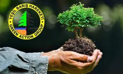 Yeşil Barış Hareketi Çevre Hakları Danışma Birimi hizmete başladı