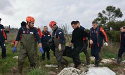 48 saatte üç benzer facia: İki ceset daha bulundu