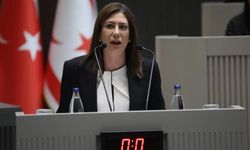 İncirli: Sağlıkta tam gün hizmete aşamalı ve hazırlık süreciyle geçilmeli; kaos yaratıyorsunuz