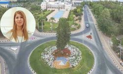 DAÜ ile TEPAV arasında KIBRIS anayasa hukukuna yönelik akademik iş birliği