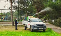 Lefkoşa Türk Belediyesi'nin çam kese böceğiyle mücadelesi sonuç verdi: Şikâyetler 9’a düştü