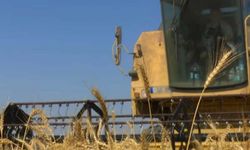 2025-2026 üretim yılı tazminat ödemeleri ve Doğrudan Gelir Desteği için son başvuru tarihi 27 Şubat