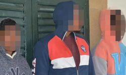 Ülkede bin günü aşkın süredir kaçak yaşadığı tespit edilen zanlılar 2 gün tutuku