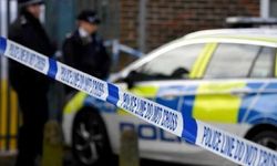 İngiltere'de kan donduran olay: Koyuna işkence edip havai fişekle patlattılar