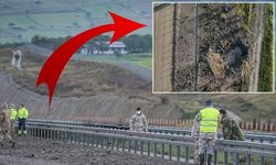 Balıkesir'de düşen F-16'nın bulunduğu bölgede çarpıcı manzara