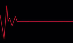 Aysel Virdanen'in ölüm sebebi “kalp damar hastalığı” olarak açıklandı