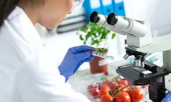 3 üründe limit üstü bitki koruma ürünü tespit edildi