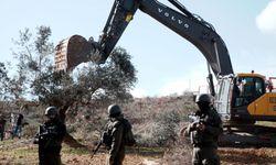 İşgalci İsrail, Batı Şeria'da 777 ağacı sökerek 761 bin dolarlık zarara yol açtı