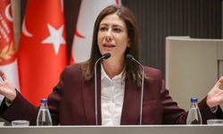 Sıla Usar İncirli: "Protokolü geri çekin ve yeniden değerlendirin”