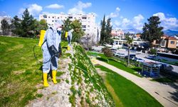 LTB’den Tarihi Surlarda Temizlik ve İlaçlama Çalışması