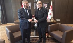 Başbakan Üstel'e Türk dünyası özel ödülü