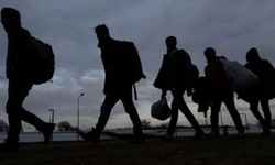 Güney Kıbrıs'ta 97 yabancı uyruklu sınır dışı edildi