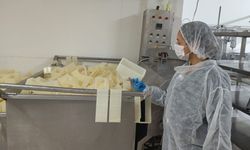 Süt fabrikası mühürlendi