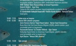 Denizel Koruma Alanları Yönetimi Çalıştayı yapılacak