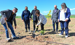 Başbakan Üstel'in eşi Zerrin Üstel, fidan dikim etkinliğine katıldı