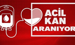 Tülay Kenanoğlu Hansel için 6 ünite AB Rh negatif kan aranıyor.