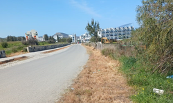 Gemikonağı’nda ilaçlama tepkisi: “Kuşlar ve ekosistem zarar görüyor”