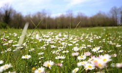 Son cemre toprağa düştü