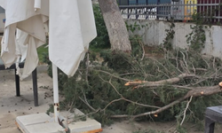 Gazimağusa Belediyesi Fırtına Hasarına Müdahale Etti